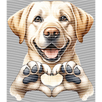 Valentine's Day-QRJ  4695